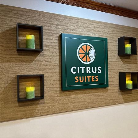 Citrus Suites Redlands Loma Linda Hotel Extérieur photo